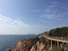 -广东惠东海龟国家级自然保护区