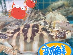 -坛南湾阿强农家乐.海鲜大排档老字号(福州地标美食店)