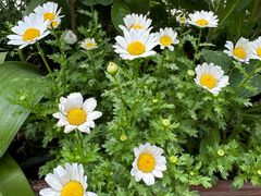 -方恒购物中心(望京小街店)