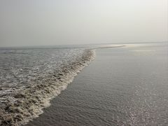 -观潮胜地公园