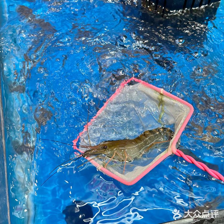 广州探店 | 江南西宝藏美食马来沙爹寸