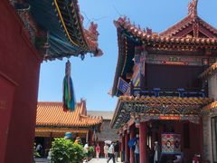 -大召无量寺