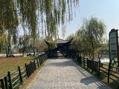 -泗洪洪泽湖湿地景区