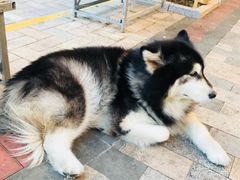 -江门古兜温泉小镇