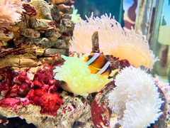 -太平洋海底世界