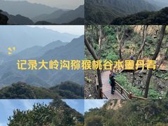 -大岭沟猕猴桃谷风景区