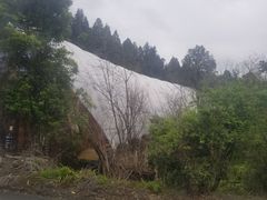 -怀托摩萤火虫洞