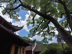 -阿育王寺