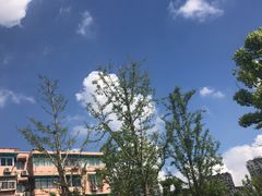 -驿公里智能洗车(中大银泰城店)