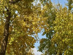 -东钱湖旅游度假区