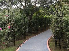 -福建鲤鱼洲酒店