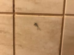 -钓鱼岛洗浴休闲会馆(卫星路店)