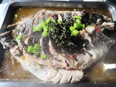 -鱼酷活鱼烤鱼(信息城店)
