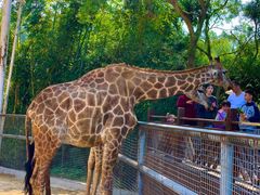 -泉州海丝野生动物世界