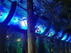 -花水湾第一村温泉大酒店