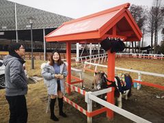 -太阳岛度假酒店