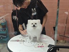 -FAELING PETS美天灵宠物(合生汇店)