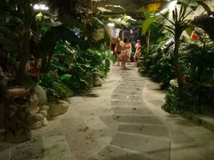 -泉城欧乐堡戏水湾艺术养生温泉