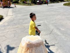 -西双版纳傣族园