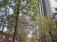 -成都麻辣肉饼(上马营店)