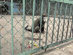 -秦皇岛野生动物园