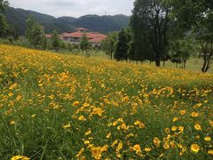 -桃源咖啡厅(武夷山大红袍山庄店)