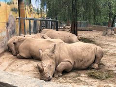 -西安秦岭野生动物园