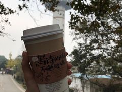 -茶颜悦色(岳麓山顶店)