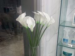 -福奈特洗衣·洗鞋·奢侈品护理(真北店)