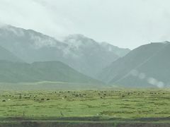 -山丹皇家马场