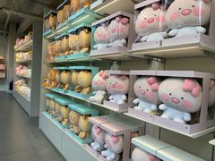 -KAKAO FRIENDS(弘大店)
