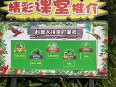 -广州长隆飞鸟乐园