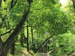 -汇龙潭