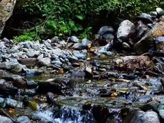 -黑河国家森林公园