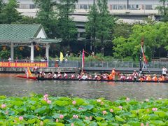 -荔湾湖公园