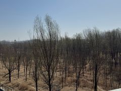 -潇河湿地公园