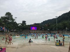 -重庆海昌加勒比海水世界