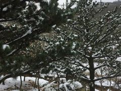 -溪口-滕头旅游景区