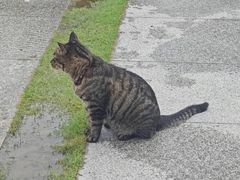 -狼山风景名胜区