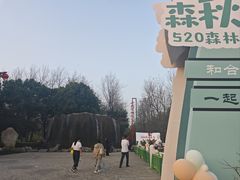 -合肥滨湖国家森林公园