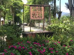 -瑞穗牧场