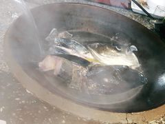 千岛湖有机鱼-好灶头妈妈菜·柴火灶台鱼·千岛湖土菜地标美食