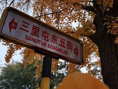 -三里屯东五街银杏大道