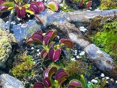 -国家植物园南园