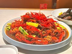 -杨氏青龙虾·羊蝎子(托乐嘉店)