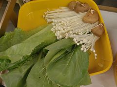 -润园四季椰子鸡火锅(海上世界店)