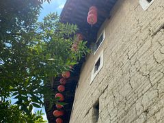 -福建土楼（南靖）云水谣景区-和贵楼