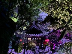 -个园