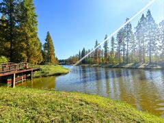 -黄海国家森林公园