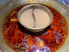 -哥老官重庆美蛙鱼头(圆融广场店)